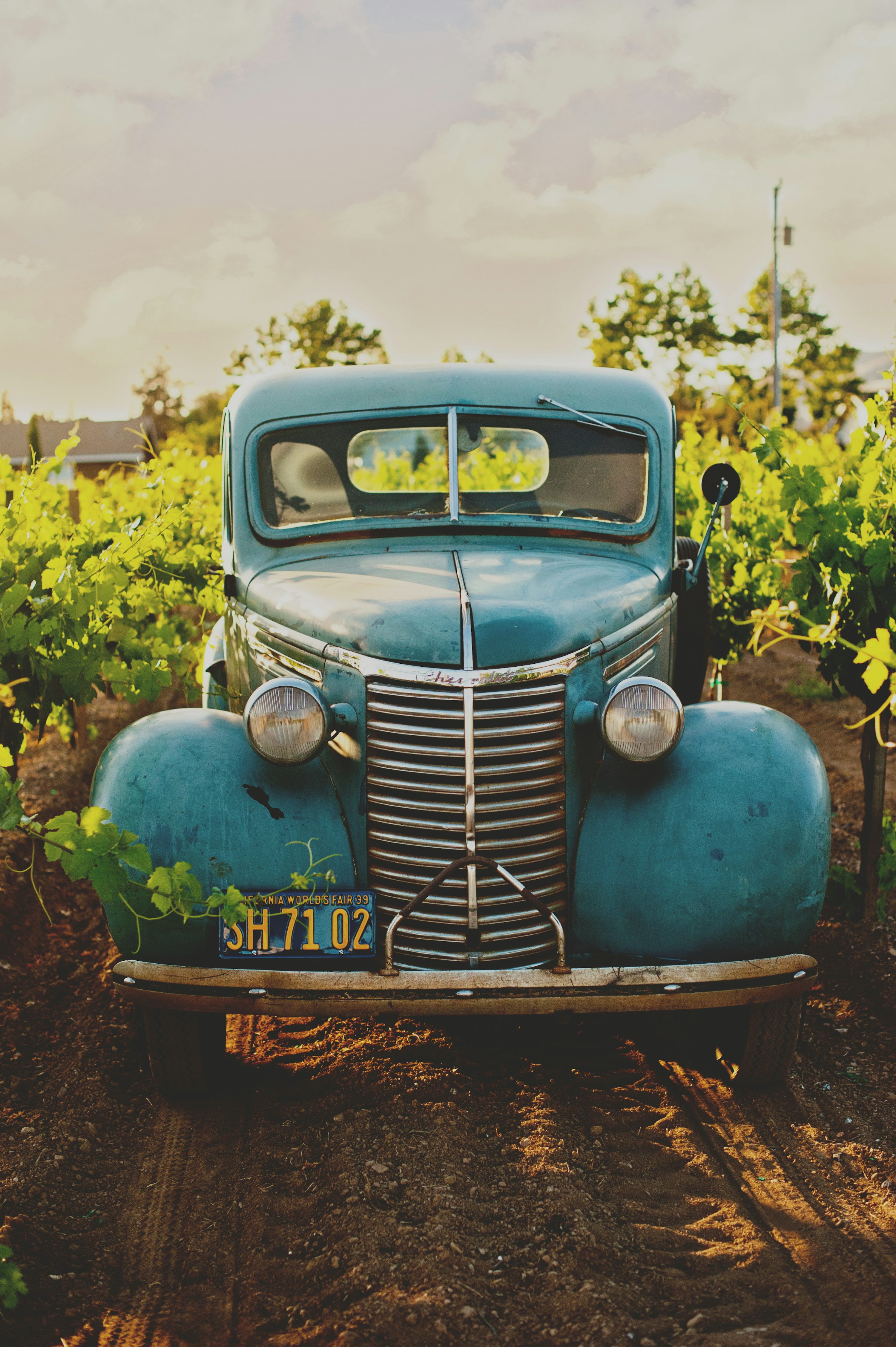 Classic Cars